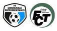 Logo SGSO Teningen